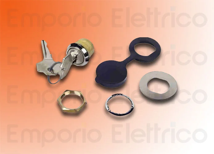 faac external customized key release 424550001/50