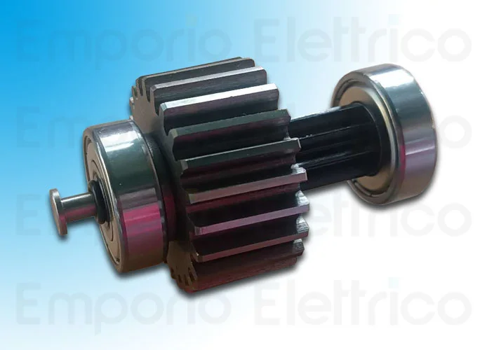 came spare part first reduction shaft ferni 119rid384