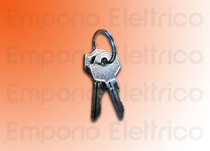 faac ricambio coppia chiavi cifrate 770 n°201 713021