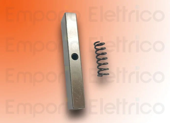 faac ricambio gruppo linguetta di traino e molla 746/8 63003337