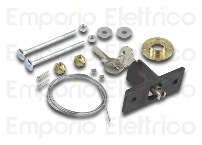 faac sblocco esterno a chiave ( x d600-d700hs-d1000 ) 424591001/36