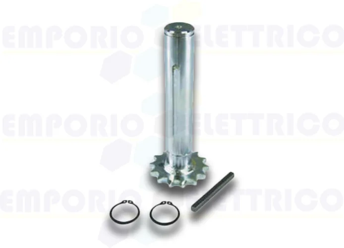 bft Ritzel zur Reduzierung von Industrietore pig 12/ulisse s 2600566 n733338